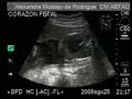 sean rafaello valentino 1 sean rafaello valentino 1
