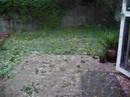 It hailed ice cubes!!!!! It hailed ice cubes!!!!!