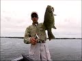 See Smallmouths hit the lure underwater