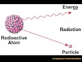 Evolution is a scientific THEORY. Theories are supported by MILLIONS of independently verifiable FACTS. To deny evolution is to deny all of those facts and the hundreds of scientific techniques used to observe them. Worse yet, to deny evolution is to deny reason and logic, the core of the scientific method. Creationists are willing to deny all of this for evolution, yet have no problem exploiting the fruits of science for their own benefit, ie cars, computers, modern medicine. Just like ...