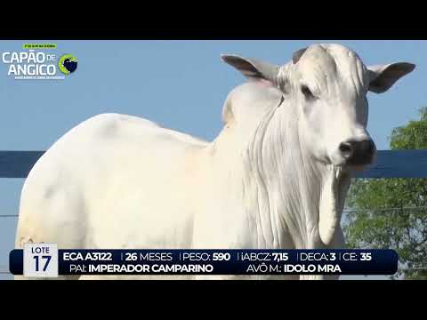 2 DE OLHO NA FAZENDA CAPO DO ANGICO