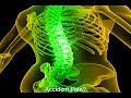 onlinewestcoastwellness.com 941-429-0070 onlinewestcoastwellness.com 941-429-0070