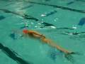 videos de Catch up Zipper Drills xvid