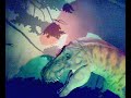 HET BEWIJS; ER BESTAAN NOG STEEDS DINOSAURIERS!! HET BEWIJS; ER BESTAAN NOG STEEDS DINOSAURIERS!!