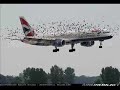 Search Video