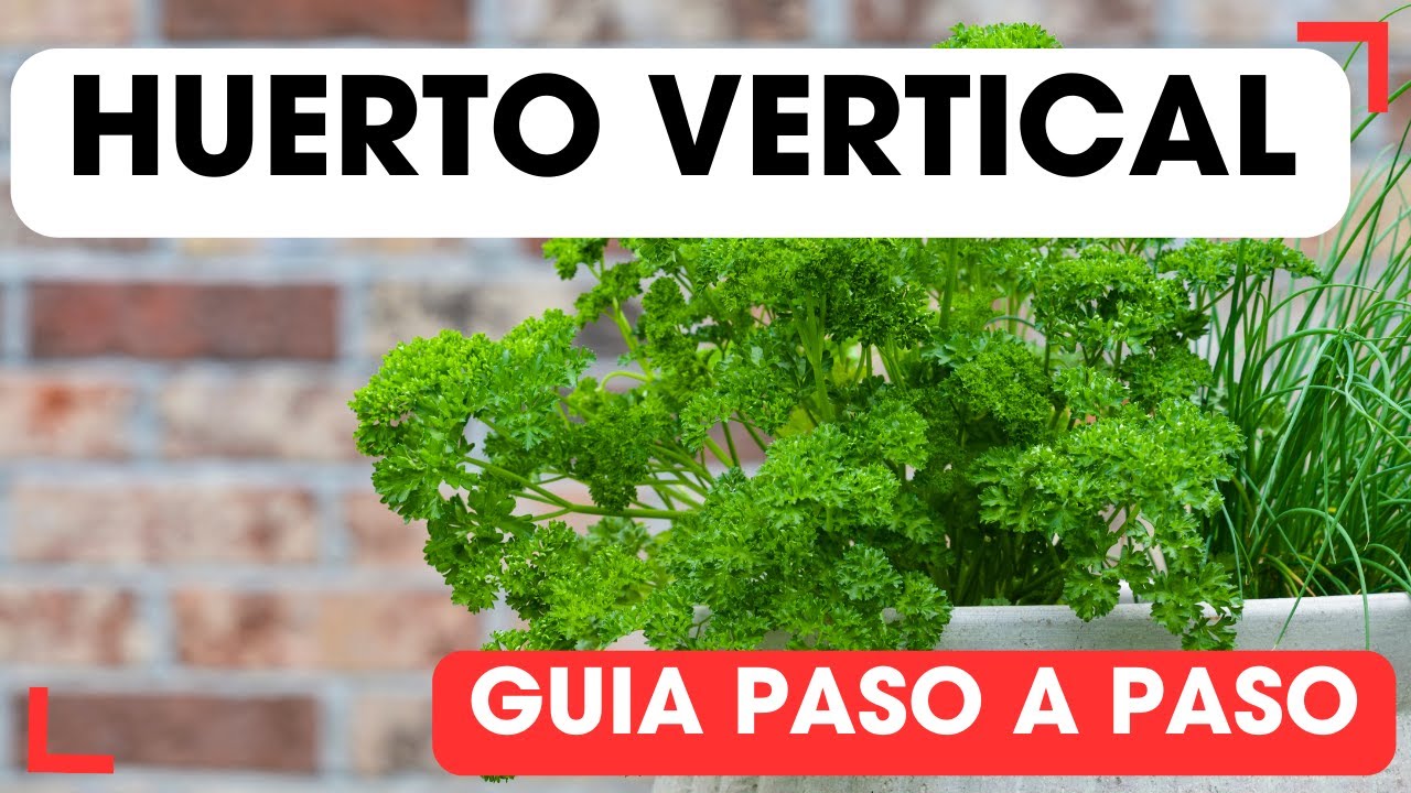 Cómo Construir un Huerto Vertical con Materiales Caseros