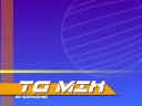 TG MIX 4