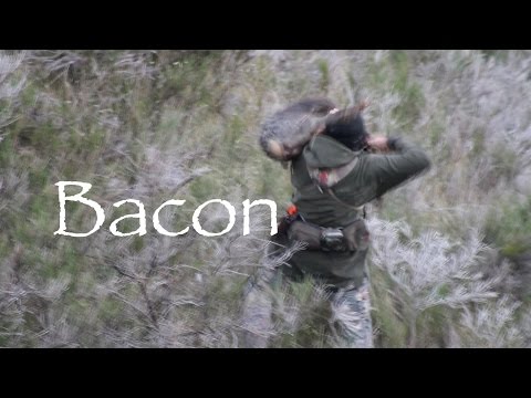 how to cure bacon nz