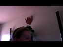 I Believe In Love- Dixie Chicks Cover