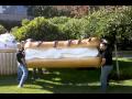 Éclair Delivery Video, Part 3