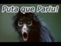 Musica Vai para Puta que Pariu. ( Relaxante )