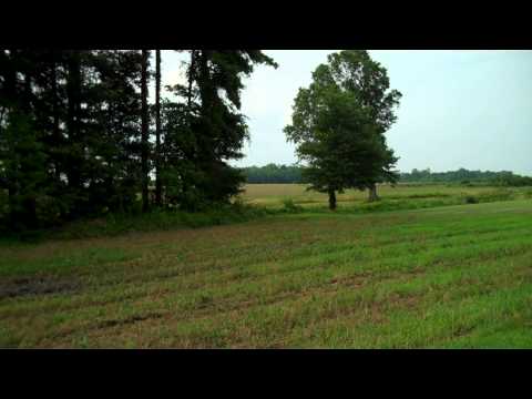 182 acres Greensboro, MD