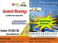 Geotech Blessings Fully Furnished Flat in Noida
