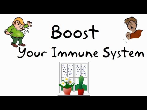how to improve immune system