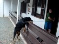 Boneca e Marco