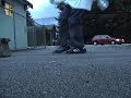KronikVibE - First C-Walk Vid [Changes REMIX]