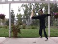 Tai Chi Heaven & Earth Fan