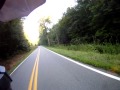 WILD TURKEY TAKES OUT MOTORCYCLE