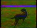 Animal Liberation Front 2- The Sequel