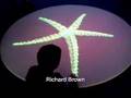 LIFE FORMS AT KINETICA