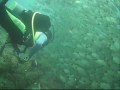 Diving Safaris Costa Rica Video