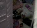 videos de Camila cuarto de juegos