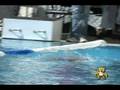 videos de Jornada 1 de actividades del Torneo de la Amistad 2008