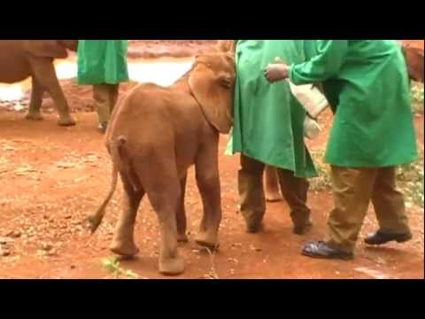 See video
