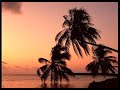 Dj Project - Prima noapte