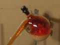 CONDENSING BROMINE