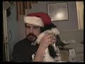 The Puppy Song The Puppy Song