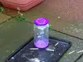 Jam Jar Jet 01