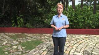 GlobeTrotter Jon Haggins TV in the Yucatan, Pt. 7