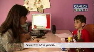 Zeka Testi Nasıl Yapılır