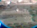 grand theft auto 4 muñeno legendario
