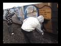 videos de GRAFFITI - #43 - NACS & LESEN