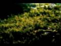 David-Fonseca-Who-Ar