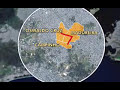 Criança é arrastada por carro e assassinada Criança é arrastada por carro e assassinada