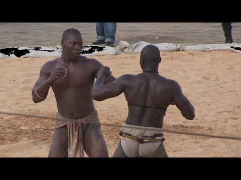 Knockout in Dakar