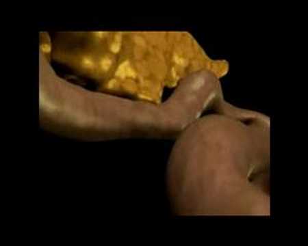 Imatge de previsualització de YouTube