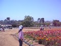 Carlsbad