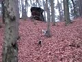 Wanderung Burg Nanstein 4