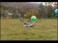 (jackass stunts) AUZZIE DARE DEVILZ