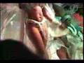 Spectacle Carnaval de Rio (3 de 3)(ADS-6)