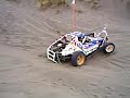 Paseo en buggy Cahuil III