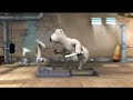 Urso atrapalhado tripeiro Urso atrapalhado tripeiro
