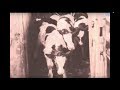 Lancaster Stockyards: Then and Now