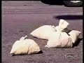 broma de asalto a  camion blindado