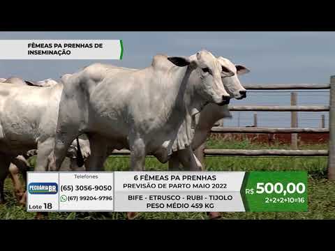 DE OLHO NA FAZENDA PECURIA BR - FBRICA DE GENTICA