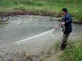 鮎の稚魚を捕獲Catch an 